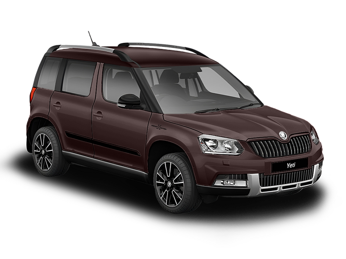Skoda Yeti Hockey Edition коричневый, металлик